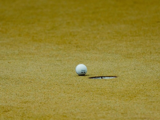 Hvad kan danske golfspillere lære af rory mcilroy?